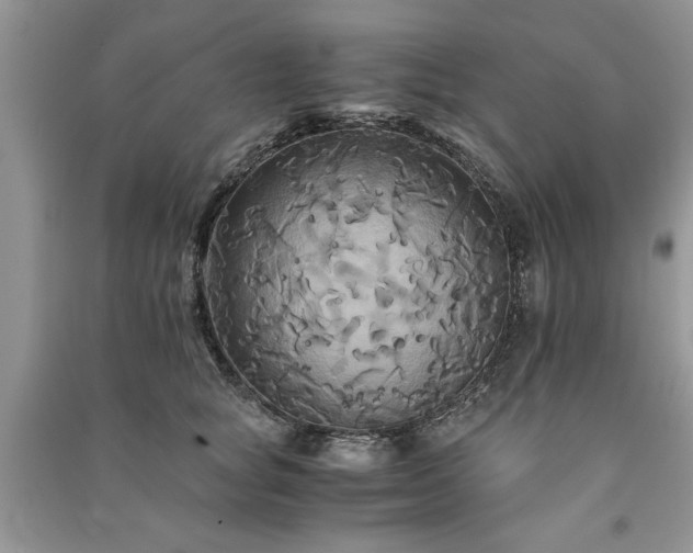 X0000091080757200708131256