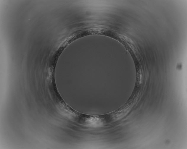 X0000091080759200708131256