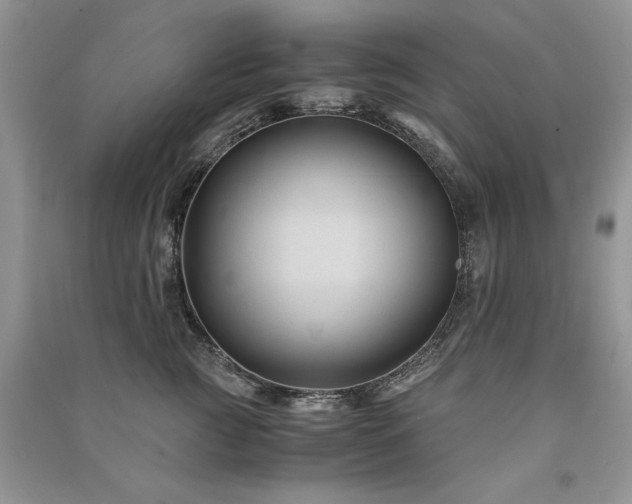 X0000091080761200708131256