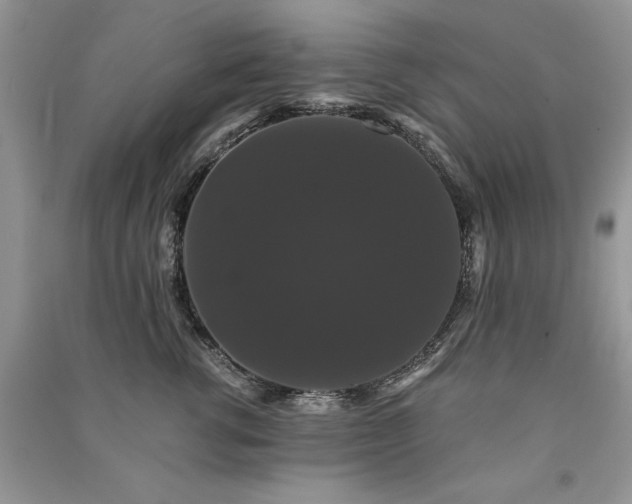 X0000091080762200708131256