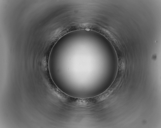 X0000091080764200708131256