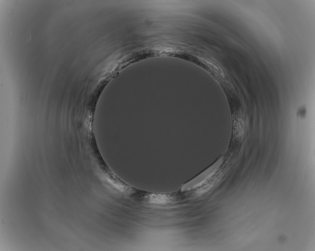 X0000091080766200708131256