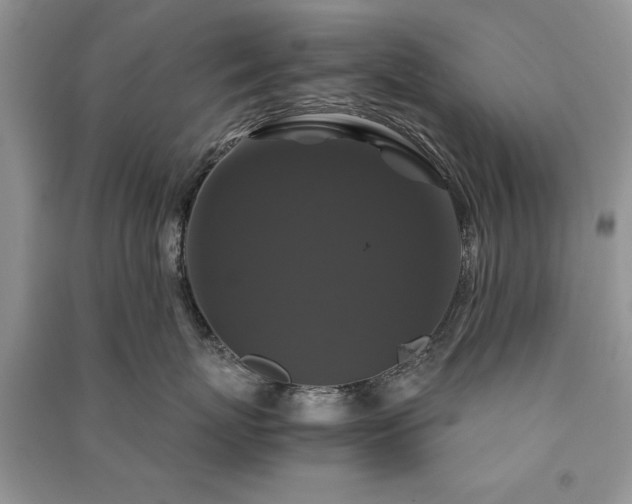 X0000091080767200708131256