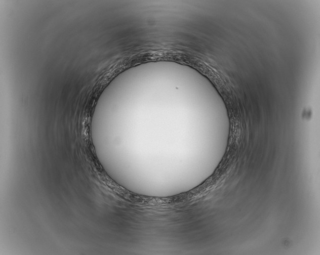 X0000091080770200708131255