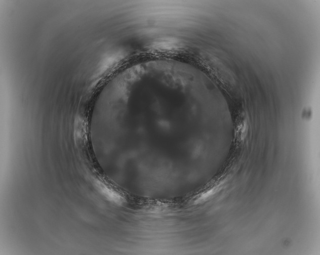 X0000091080772200708131255