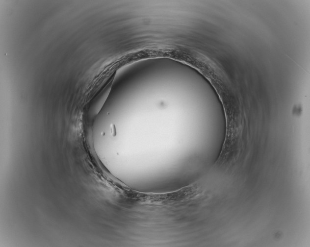 X0000091080773200708131255