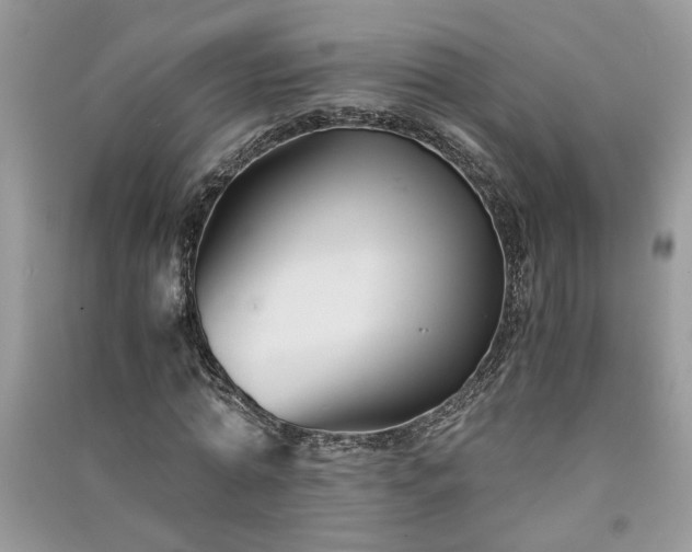 X0000091080774200708131255