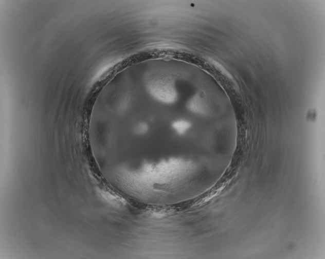 X0000091080775200708131255