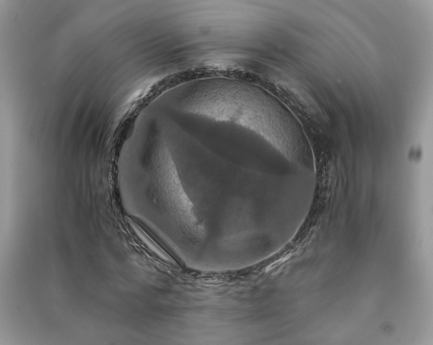 X0000091080776200708131255