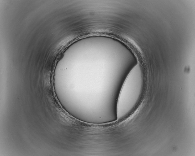 X0000091080777200708131255