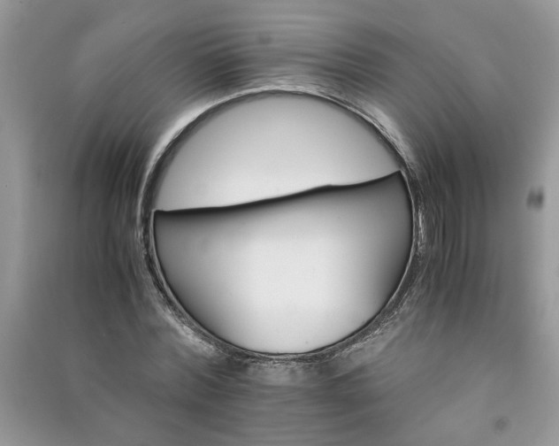 X0000091080780200708131255