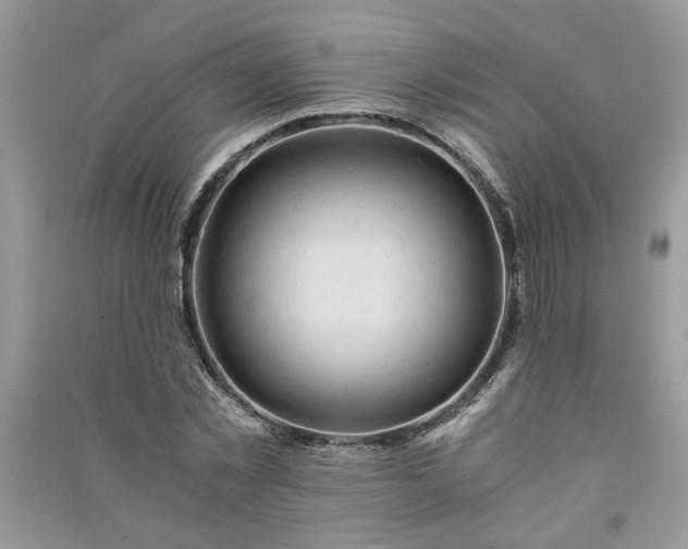 X0000091080781200708131255