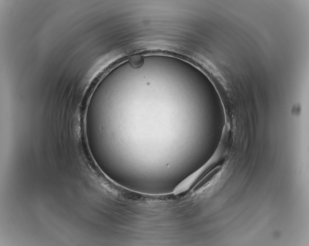 X0000091080782200708131255