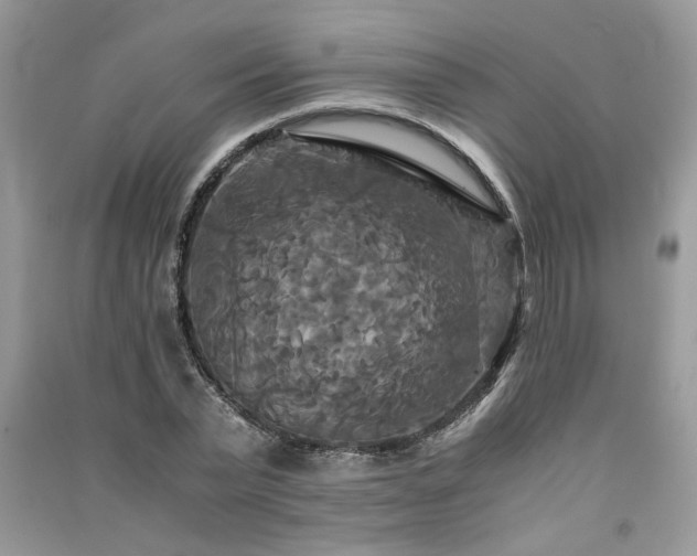 X0000091080783200708131255