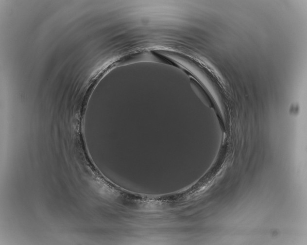 X0000091080785200708131255