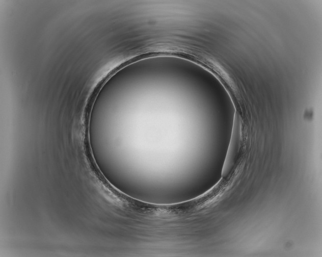 X0000091080787200708131255