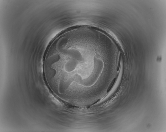 X0000091080791200708131255