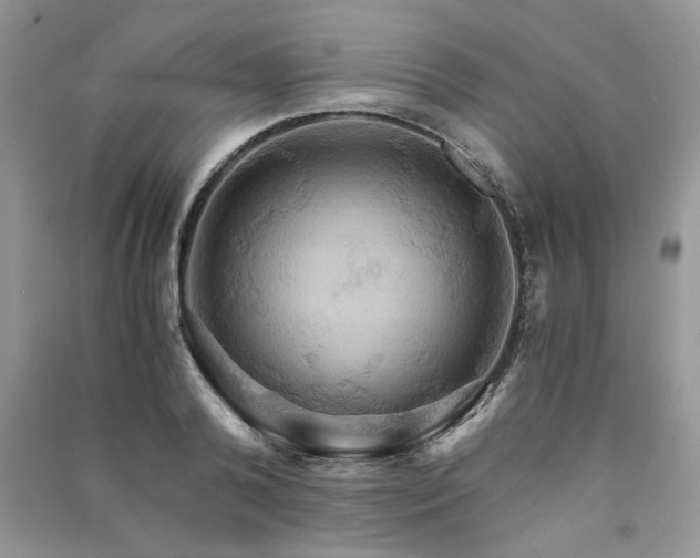 X0000091080792200708131255