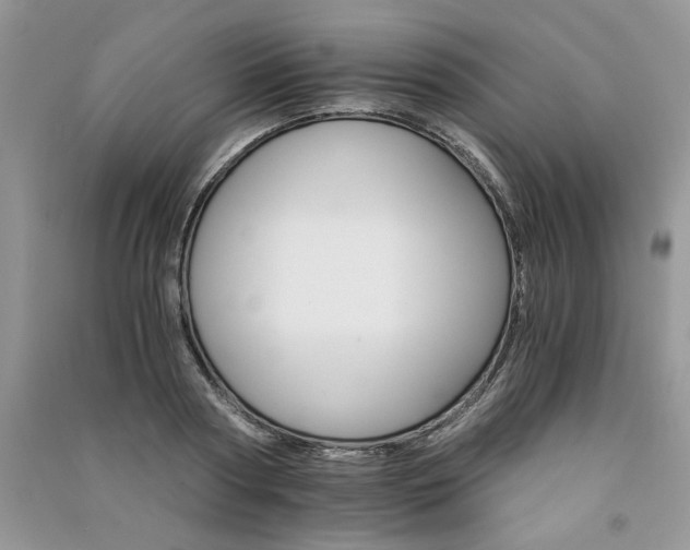 X0000091080794200708131255