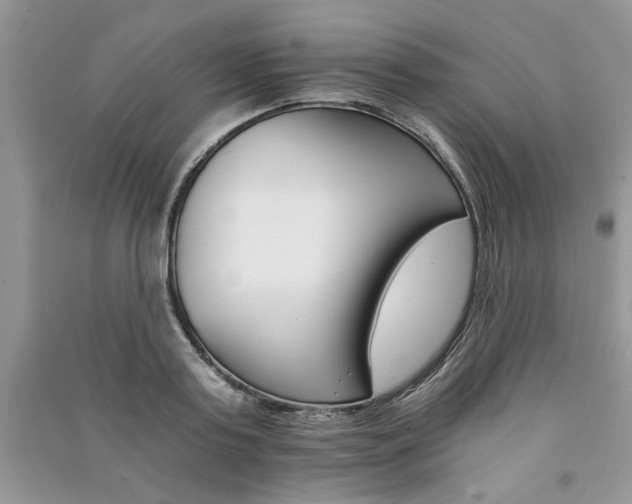 X0000091080795200708131255