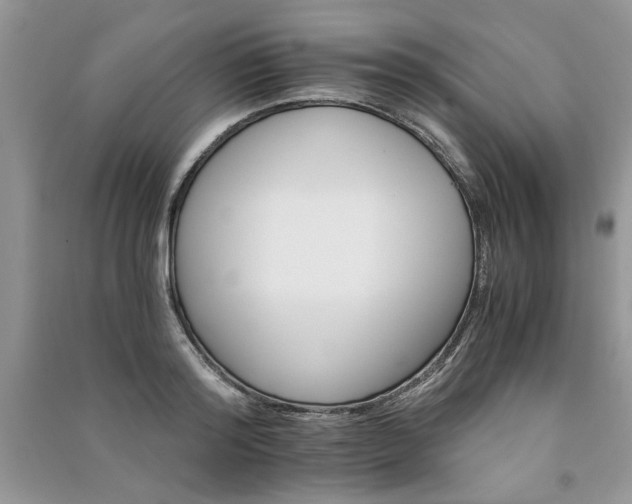 X0000091080796200708131255