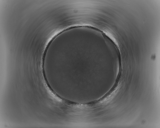 X0000091080797200708131255