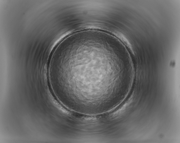 X0000091080798200708131255