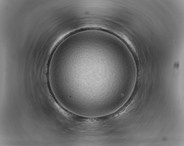 X0000091080799200708131255