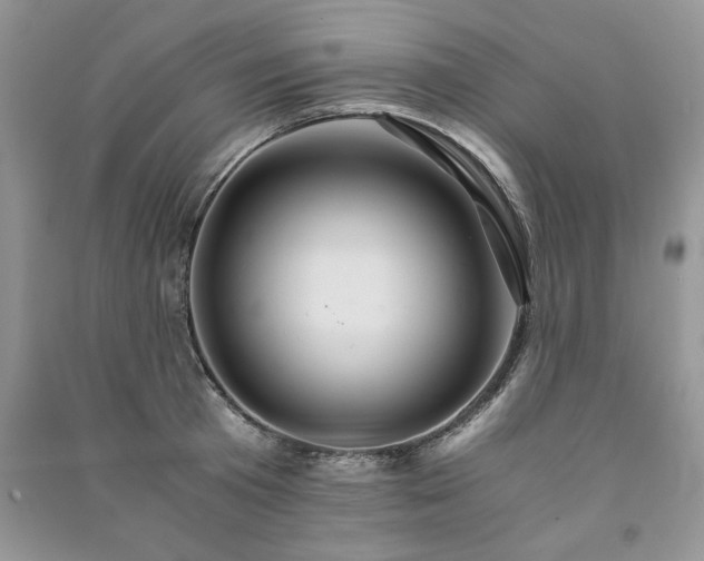 X0000091080801200708131255