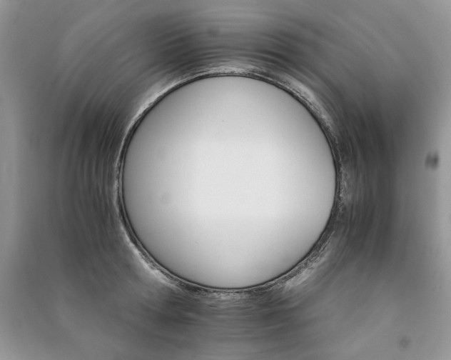 X0000091080802200708131255