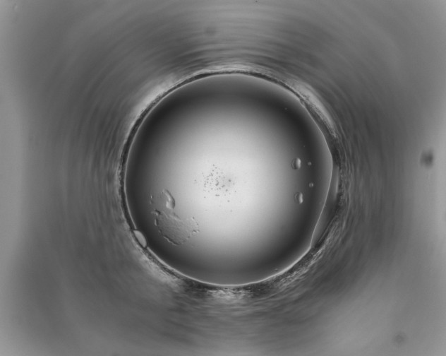 X0000091080805200708131255