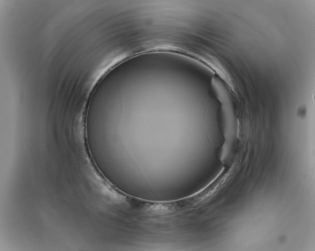 X0000091080806200708131255