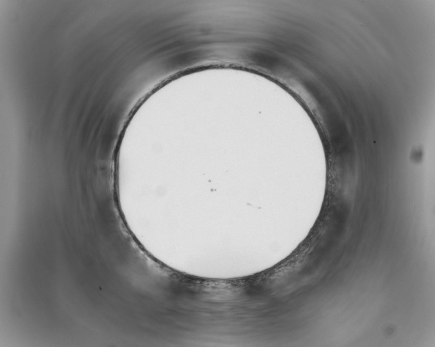 X0000091080807200708131255