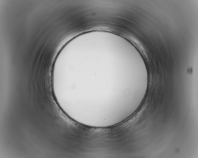 X0000091080808200708131255