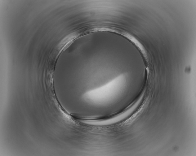 X0000091080809200708131255