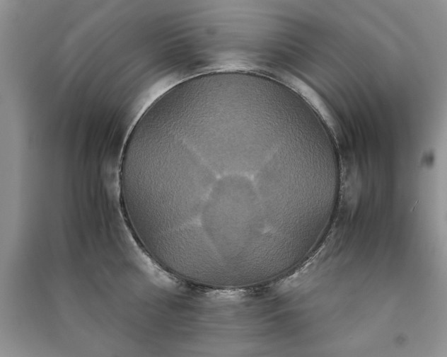 X0000091080810200708131255