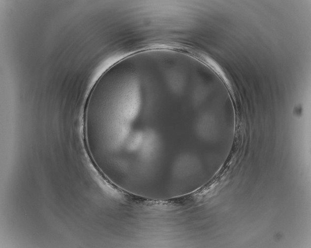 X0000091080811200708131255