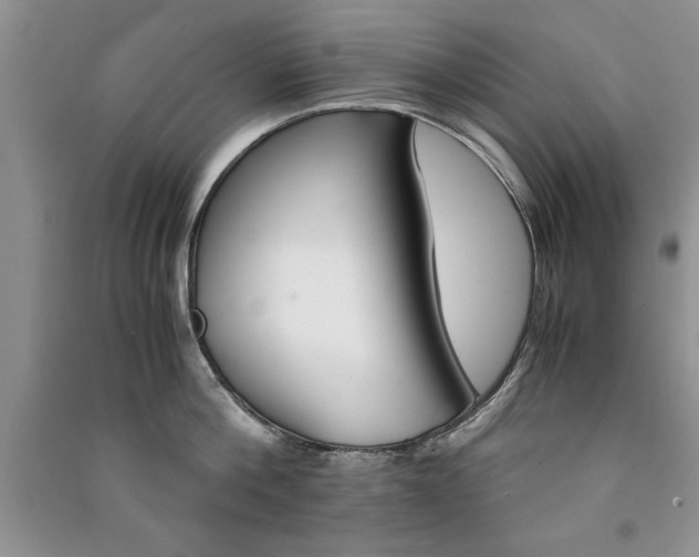 X0000091080812200708131255