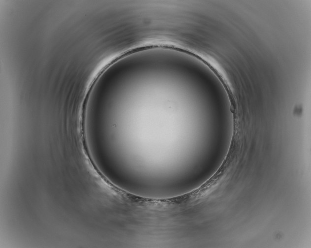 X0000091080815200708131254