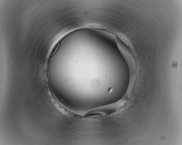 X0000091080816200708131254