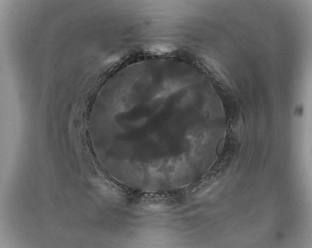 X0000091080817200708131254