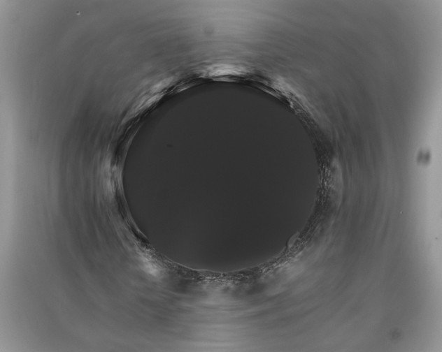 X0000091080818200708131254