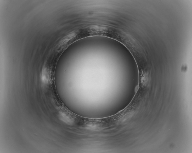 X0000091080819200708131254