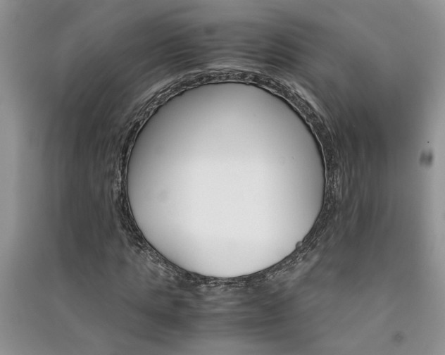 X0000091080821200708131254