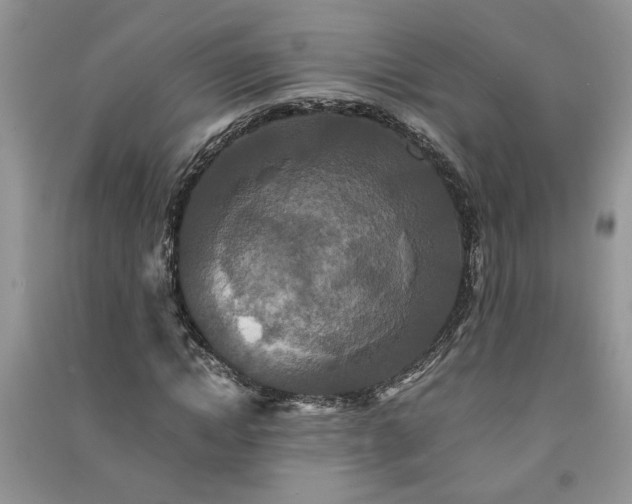 X0000091080822200708131254