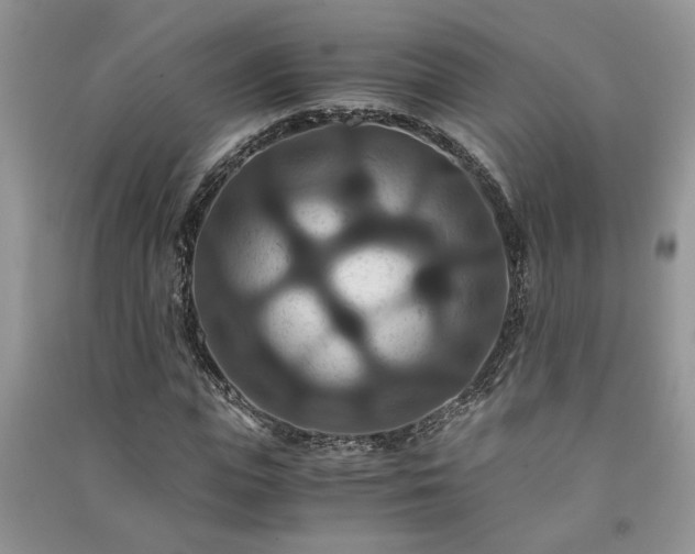 X0000091080823200708131254