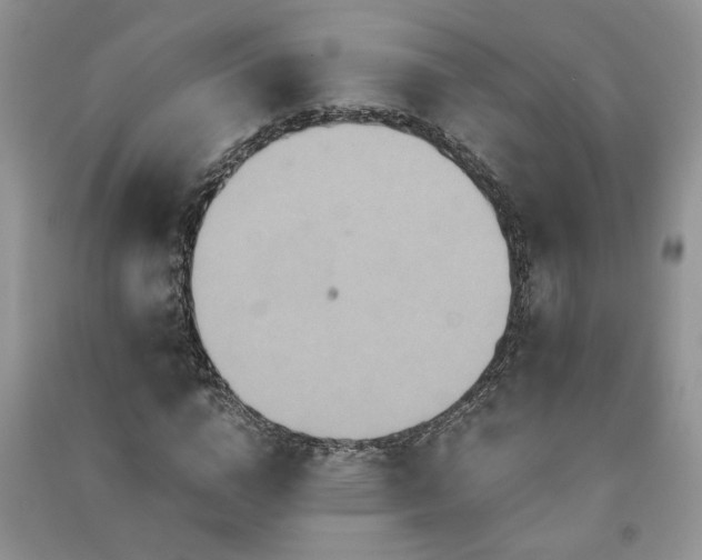 X0000091080824200708131254