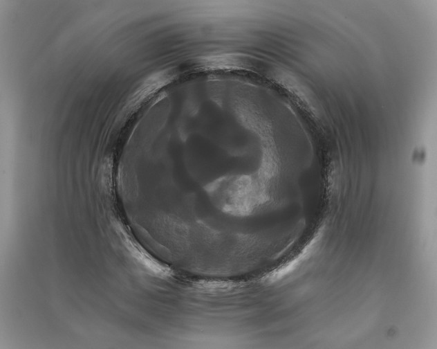 X0000091080825200708131254