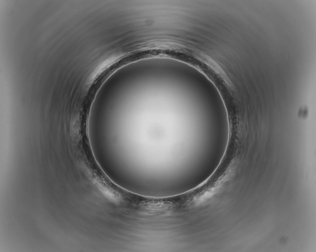 X0000091080826200708131254