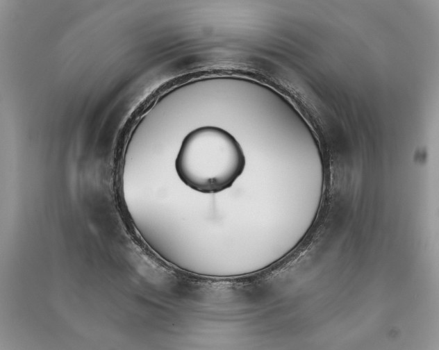 X0000091080828200708131254